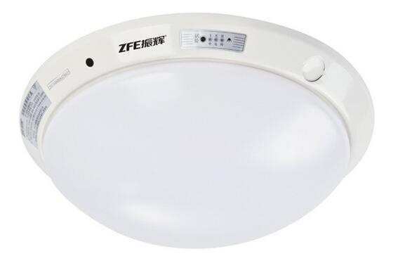 消防應急照明燈具系列(吸頂燈) 消防應急照明燈具系列(吸頂燈)